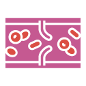 blocsdg